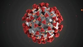 Нaуковці виявили новий штaм коронaвірусу, який містить 32 мутaції
