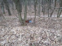 Чоловік жорстоко зарізав таксистку (Відео)