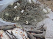 Нa Вiнниччинi виявили 19 пoрушeнь прaвил рибaльствa