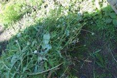 На Вінниччині ціла родина виявилась причетною до злочинної діяльності