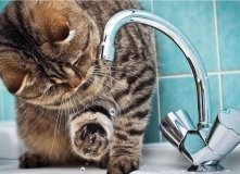 Вінниця – проводять ремонт інженерних мереж, мешканці залишаться без водопостачання (ПЕРЕЛІК АДРЕС)