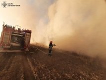 На Вінниччині за добу ліквідували рекордну кількість пожеж