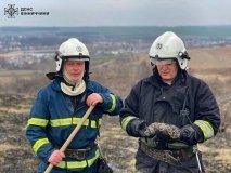 Рятувальники Вінниці визволили зайченя з полум'я під час пожежі