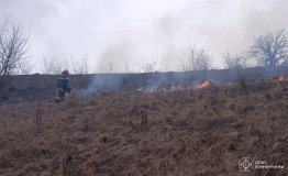 ДСНС Вінницької області ліквідувало 11 пожеж в екосистемах за добу