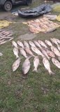 На Вінниччині двоє чоловіків наловили риби майже на 294 тис грн