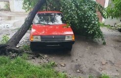 На Вінниччині дерево впало на припаркований автомобіль