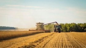 Жнива тривають: врожайність на Вінниччині перевищує минулорічні показники