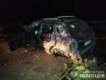 ДТП на Вінниччині: водій Hyundai врізався в дерево та потрапив до лікарні