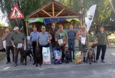 У Вінниці пройшов ювілейний чемпіонат мисливських собак: 16 учасників та нові стандарти