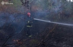 23 пожежі за добу: рятувальники Вінниччини ліквідують наслідки необережності