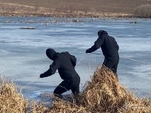 У Вінницькій області виявлено тіло чоловіка у водоймі: трагедія в Плисківці