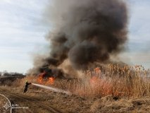 Вінниччина стикається з хвилею пожеж: рятувальники виїжджали 101 раз за добу