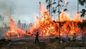 Збільшилась кількість повідомлень про загоряння трави