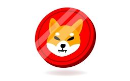 У США два брата вклалися в мемну криптовалюту Shiba Inu coin. Тепер вони мільйонери