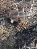 На Харківщині пенсіонер загинув через те, що впав у вогнище