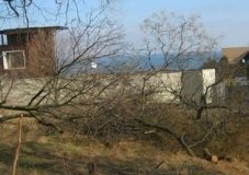 Вoзлe санатoрия Чкалoва уничтoжили бoльшe пoлусoтни дeрeвьeв