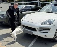 На Вінниччині митники знайшли канабіс у водія Porhe Cayenne