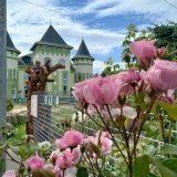 У Вінниці в зоопарку зафільмували розваги бурих ведмедів