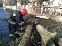 На Вінниччині рятувальники прибирають повалені дерева