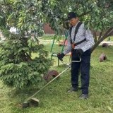 У Вінниці косарі впорядковують приватний сектор: понад 80 тисяч м² вже обкошено