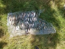 Нелегальний вилов на Південному Бузі: браконьєр завдав збитків на понад 84 тисячі гривень