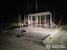 У Вінницькому районі двоє нетверезих чоловіків побили перехожого палицями — їм загрожує до 7 років ув’язнення