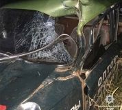 В жорстокій ДТП біля Дніпра загинули молодята