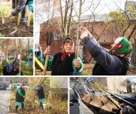 У Вінниці стартувала осіння висадка дерев: планують озеленити понад 500 локацій