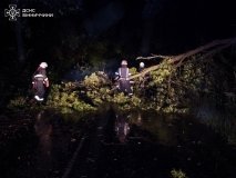 Вінницькі рятувальники працювали усю ніч – розчищали автошляхи(ВІДЕО)