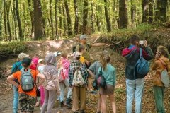  Екоосвіта в дії: у Вінниці стартує третій набір на “Літню екологічну школу” для підлітків