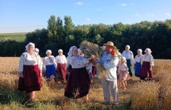 Обжинки в Дубові: свято першого снопа, що єднає покоління та береже українську душу