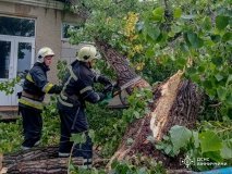 У Вінниці через негоду пошкоджено авто, гараж та житловий будинок