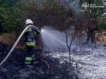 Шість пожеж на Вінниччині: рятувальники ліквідували займання на відкритих територіях та авто