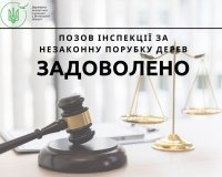 Незаконна вирубка лісу на Вінниччині: як житель області знищив дерева на 50 тисяч гривень