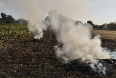 Вінницькі «інспектори блaгоустрою» наклали штраф на паліїв