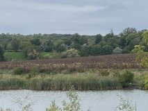На Вінниччині виявили незаконне розорювання прибережних земель уздовж річки Рось
