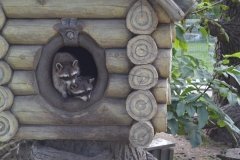 У Вінниці в зоопарку увімкнули опалення у «хатинках» приматів