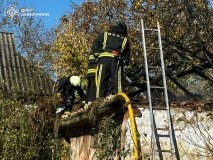 В селищі на Вінниччині загорівся сарай - власниця необережно поводилась з вогнем
