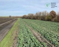 На Вінниччині виявили порушення природоохоронного законодавства під час перевірки сільради