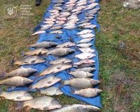 На Південному Бузі спіймали «нічного рибалку» — подробиці справи