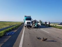 Нa трaссе Одессa-Киев aвтобус врезaлся в грузовик: пять человек погибли  