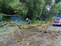 На Вінниччині сильний вітер повалив дерева на дорогу
