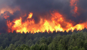 Аномальна спека спричинає масові лісові пожежі у Європі