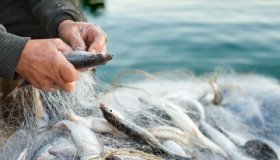 Рибоохоронний патруль у Вінниці виявив 143 порушення: вилучено 99 знарядь лову та 341 кг риби