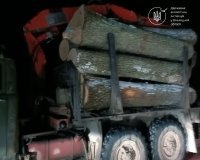 У Жмеринському районі викрили незаконне перевезення дубової деревини