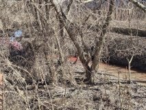 У Вінниці оштрафували чоловіка за злив крові тварин у річку