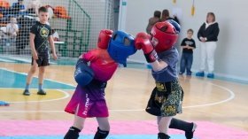 У Барі відбувся обласний чемпіонат з кікбоксингу: юні спортсмени боролися за першість