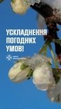 На Вінниччині прогнозують небезпечні нічні заморозки: оголошено помаранчевий рівень