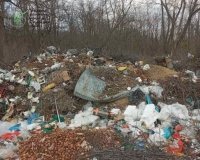  На Вінниччині ліквідували стихійне сміттєзвалище після перевірки екоінспекції
