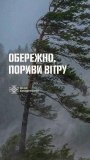 На Вінниччині оголошено жовтий рівень небезпеки через сильний вітер